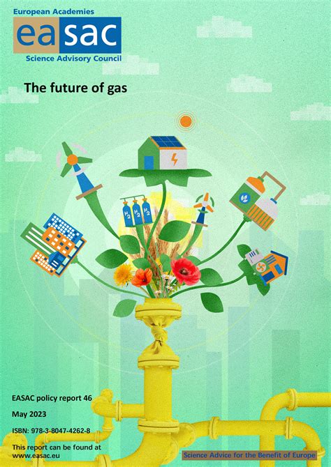 European Scientists On The Future Of Gas We Must Ban New Natural Gas