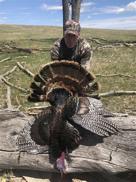 Nebraska Turkey Hunts - Hunting Guide & Outfitter