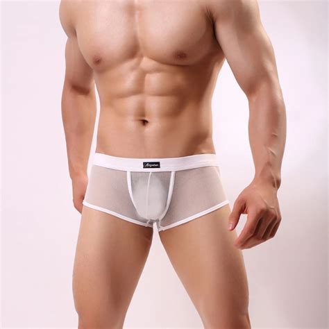 Introducir Imagen Modelos Hombres En Ropa Interior Transparente