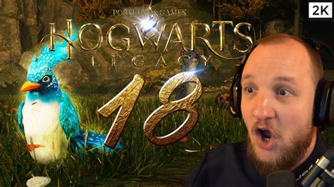 Lets Play Hogwarts Legacy Deutsch 2K Blind 18 Rettung Von