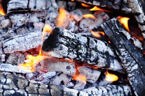 Coals In An Extinct Fire Stock Image Image Of Fiery