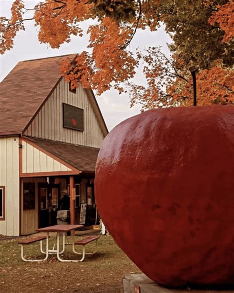 Crunch Munch Sip Savor Amazing Mid Michigan Apple Orchards