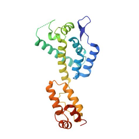 Rcsb Pdb Ckx Hiv Mature Capsid Hexamer Next To Pentamer Type I