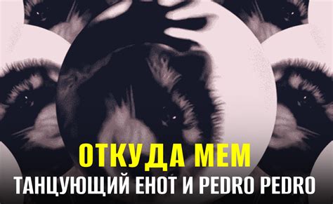 Откуда взялся мем с танцующим енотом под «Педро-Педро» и что он означает