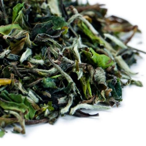 Чай белый Бай Му Дань купить на Eastbrew Tea & Coffee