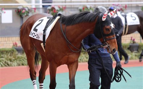 【赛马】【严重事故慎入】2022年3月12日 阪神9r ゆきやなぎ賞哔哩哔哩bilibili