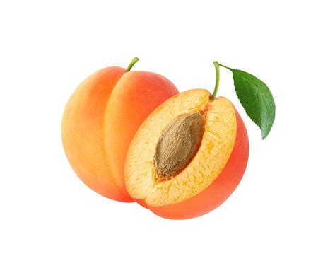 Apricot Png Transparent Background Png