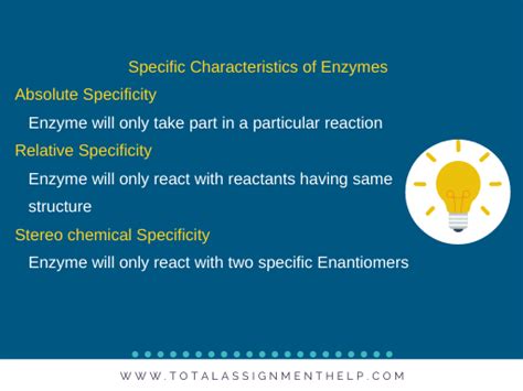 Basic Characteristics Of Enzymes Total Assignment Help