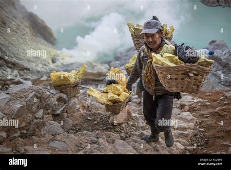 Sulfur Miner Carrying Heavy Load Of Sulphur At Top Of Kawah Ijen