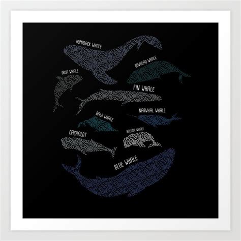 9 Types of Whales Whale Breeds Species Whale Lover Art Print by Maximus ...