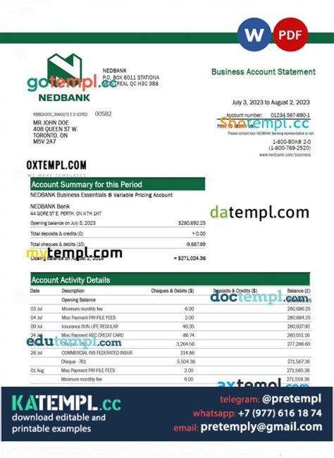 Nedbank Firm Statement Word And Pdf Template Katempl