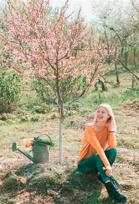 Sexy Naked Body Slim Woman Stock Photos Free Royalty Free Stock Photos From Dreamstime