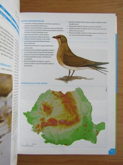 Atlas Al Speciilor De Pasari De Interes Comunitar Din Romania Cump R