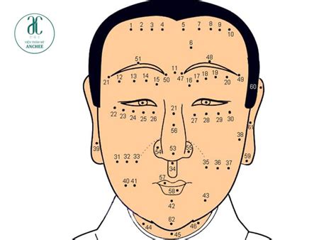 Giải mã ý nghĩa 235 vị trí nốt ruồi trên mặt cả Nam Nữ chuẩn 100