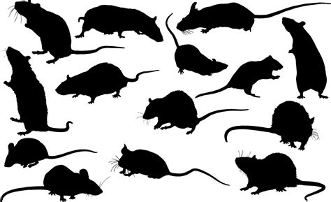 Mouse Silhouette Vector at Vectorified.com | Collection of Mouse ...