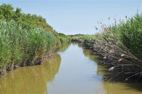 Visitare Il Delta Del Po A Volano In Barca O A Piedi