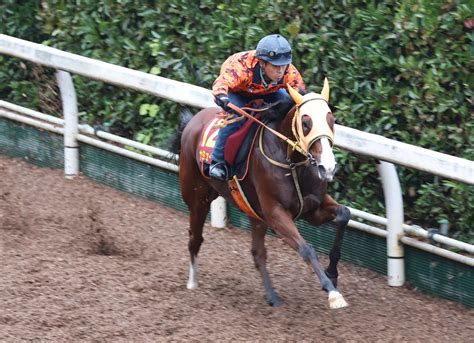 【秋華賞】ナミュール坂路で軽快な動き 高野師「今は体の隅々までエネルギーに満ちている」 競馬写真ニュース 日刊スポーツ