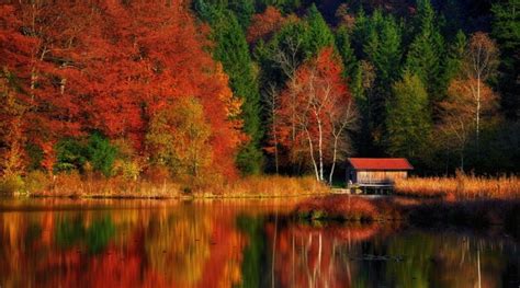 Fondo De Pantalla Paisajes Naturales Con Movimiento Infoupdate Org