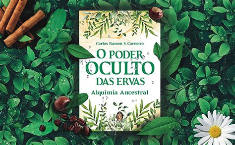 O Poder Oculto Das Ervas Alquimia Ancestral Amazon Br