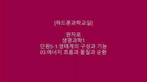 완자로생명과학1단원5 1생태계의 구성과 기능03강에너지 흐름과 물질 순환 Youtube