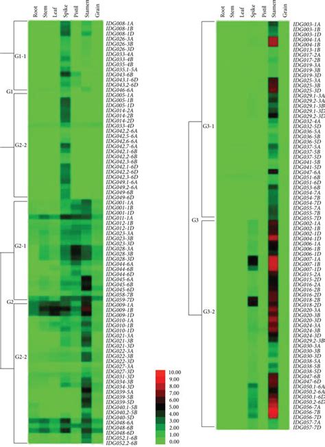 Relative Expression Abundance Of The Identified Genes In Different