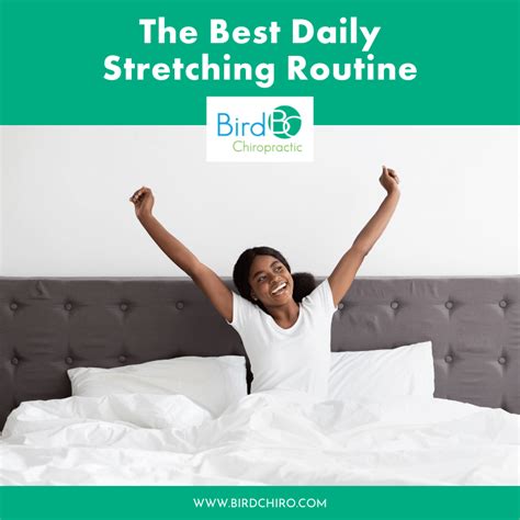 The Best Daily Stretching Routine — Bird Chiropractic Best Local