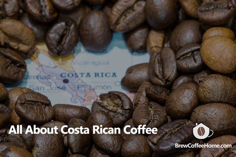 The Ultimate Buying Guide for Costa Rican Coffee (Everything You Need ...