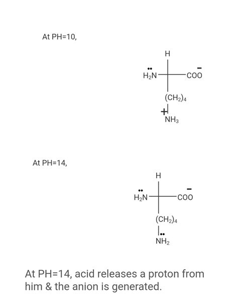 Solved Draw The Structure Of Lysine That Predominates At The Following Ph Course Hero