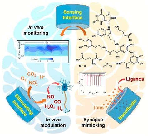 New Opportunities Of Electrochemistry For Monitoring Modulating And