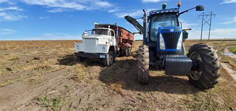 Potato harvest season : r/farmingsimulator