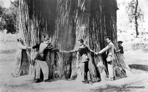 El Bable El árbol del tule de Santa María del Tule Oaxaca