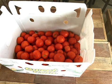 Tomato Bulk 25 Lb Box Glade Road Growing