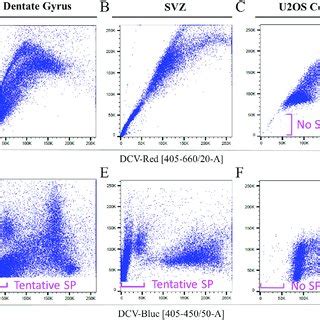 DCV Identifies Heterogeneous Cell Populations In Primary Neurogenic