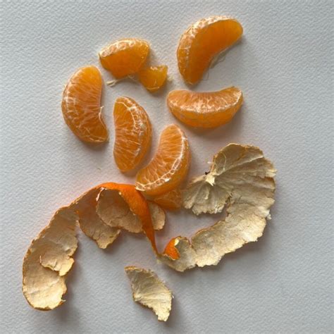 5 Hot Sexy Bailey Drinkwater Bikini Pics