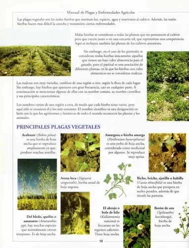 Manual De Plagas Y Enfermedades Agrícolas Editorial Trillas Envío gratis