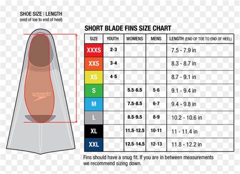 Speedo Swim Fins Size Chart A Visual Reference Of Charts Chart Master