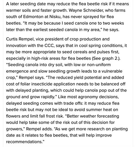 Flea Beetles Management Tips Canola Council Of Canada