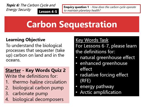 4 5 Carbon Sequestration The Carbon Cycle And Energy Security