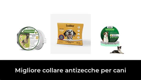 Migliore Collare Antizecche Per Cani Nel Secondo Gli Esperti