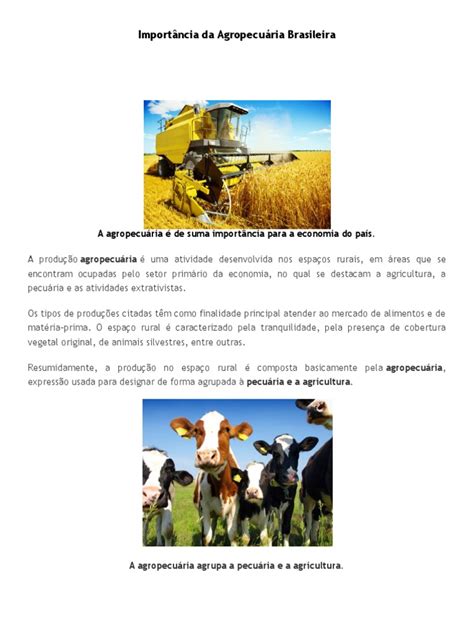 Importância Da Agropecuária Brasileira Pdf Economia Brasil