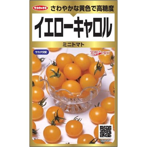 サカタのタネ「実咲pro ミニトマト イエローキャロル」のタネ 内容量約40粒 Sskv1005a1511日光種苗ヤフー店 通販