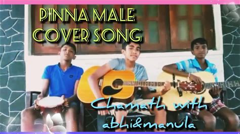 Pinna Male Cover Song YouTube