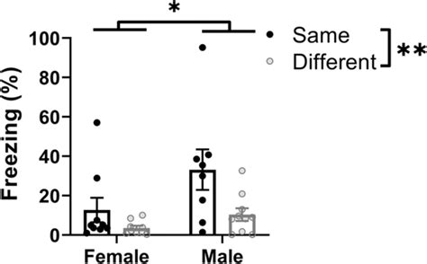 Sex Differences In Contextual Fear Learning And Generalization A Behavioral And Computational