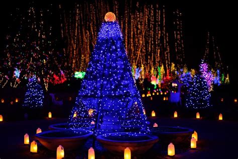 2023 Holiday Light Show Recap | Rotary Botanical Gardens