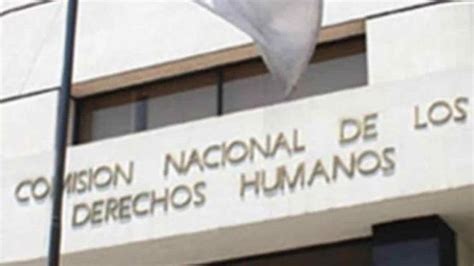 Cndh Sus Funciones Como Organismo Autónomo