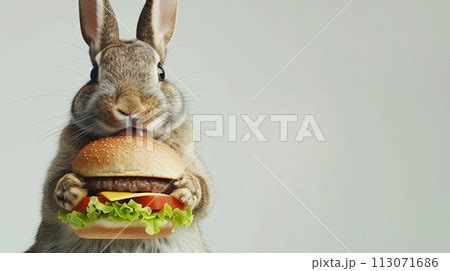 Fluffy Bunny Holding A Big Cheeseburger Easter