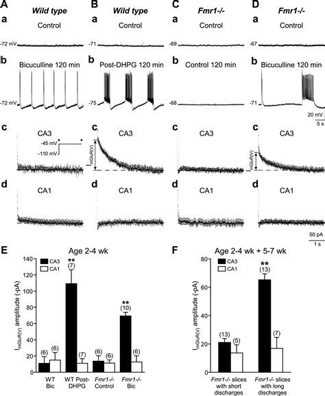 Cellular Plasticity For Group I MGluR Mediated Epileptogenesis