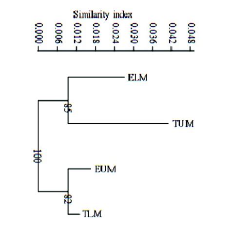 A Neighbor Joining Dendrogram Based On Nei S Unbiased Genetic