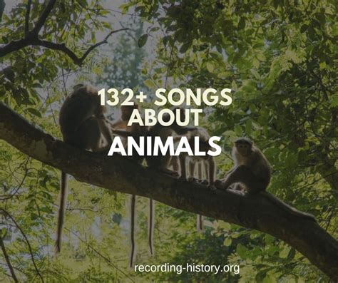 132+ Best Songs About Animals - Song Lyrics & Facts