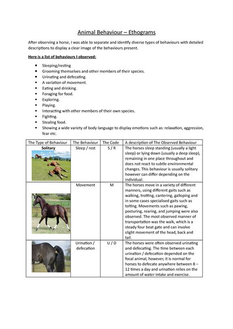 Animal Behaviour Equine Ethogram Animal Behaviour Ethograms After